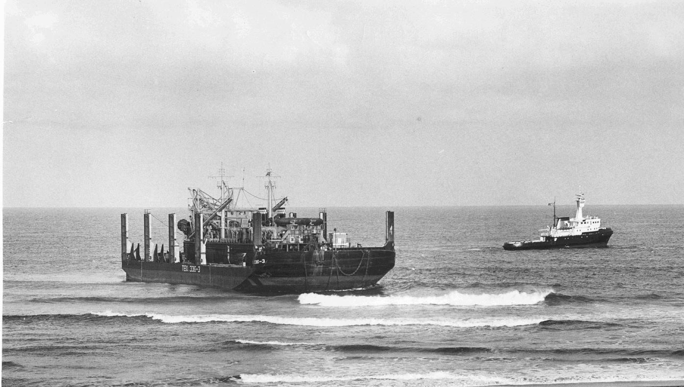 Bir olomon trannies sikishmoqda